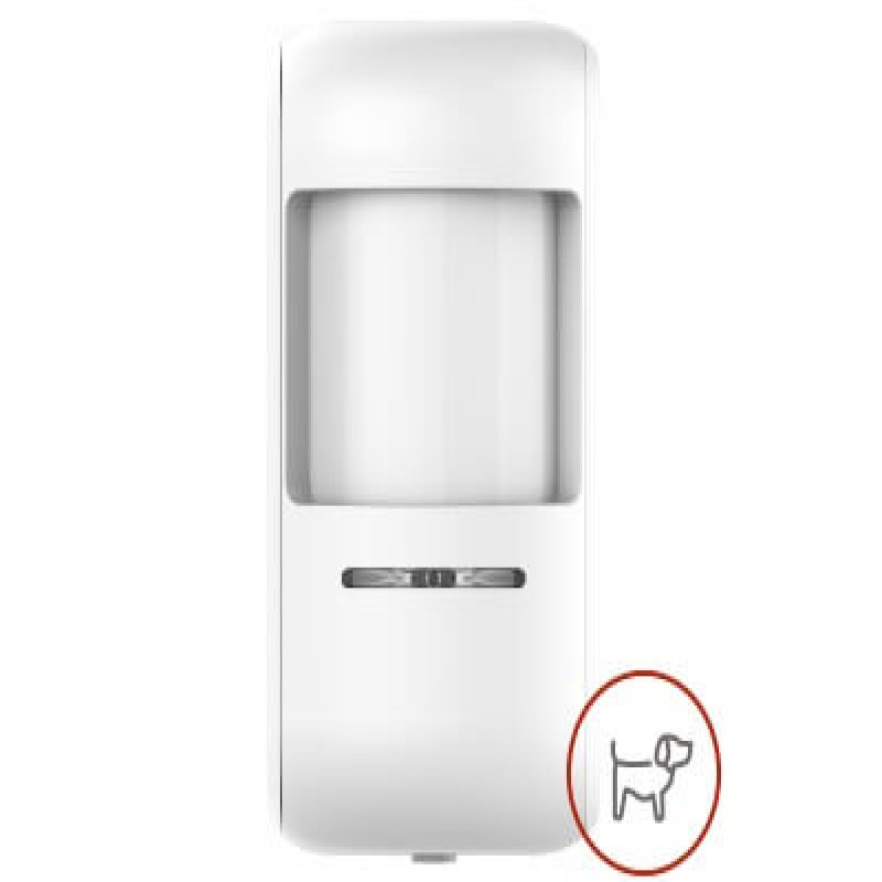 Motion Sensor